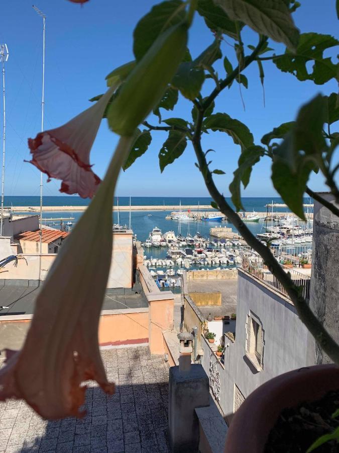 B&B Marnudd Bisceglie Eksteriør bilde